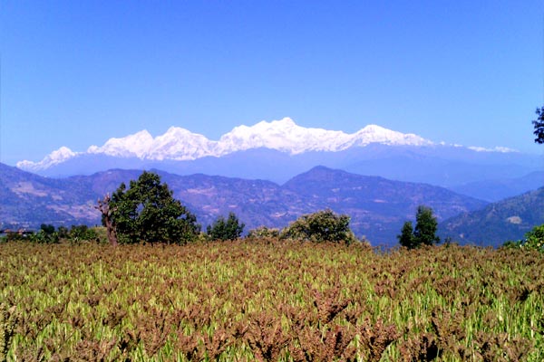 Tanahunsur Community Homestay